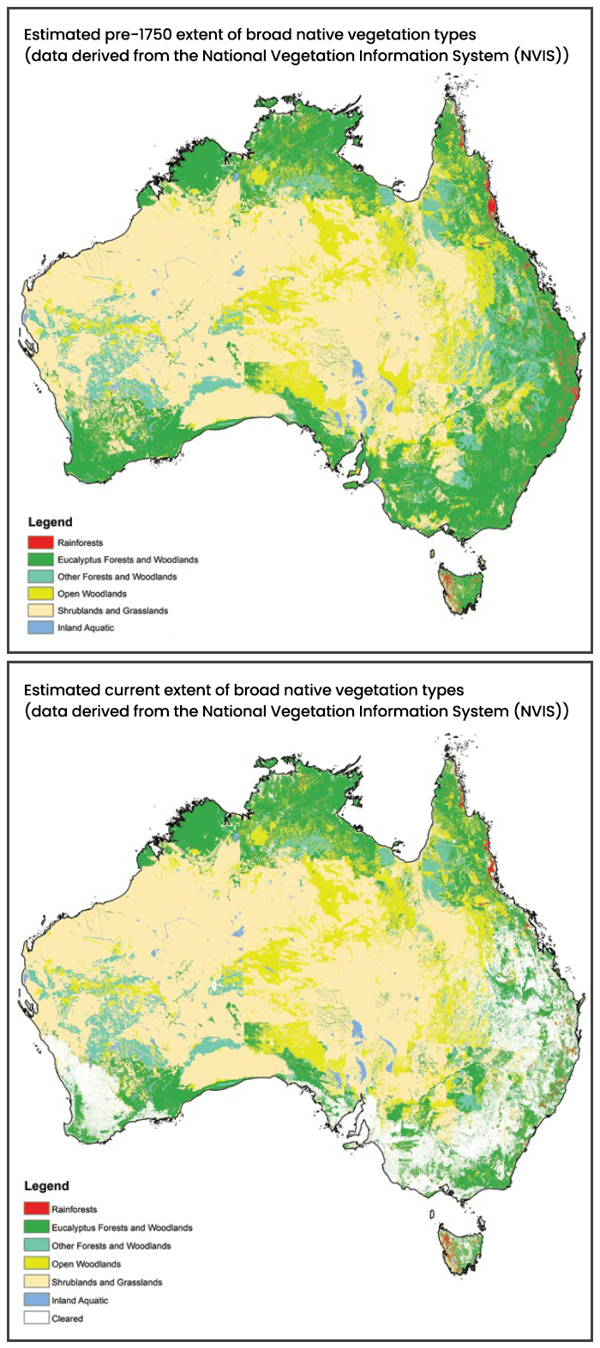 Australia's Native Vegetation Map